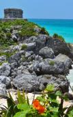 Туры в отель Hotel Banana Boutique & Spa by Paradise Hotels - 5th Av Playa del Carmen Туры в отель Hotel Banana Boutique & Spa by Paradise Hotels - 5th Av Playa del Carmen