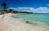 Туры в отель Hotel Banana Boutique & Spa by Paradise Hotels - 5th Av Playa del Carmen Туры в отель Hotel Banana Boutique & Spa by Paradise Hotels - 5th Av Playa del Carmen