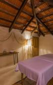 Туры в отель Hotel Banana Boutique & Spa by Paradise Hotels - 5th Av Playa del Carmen Туры в отель Hotel Banana Boutique & Spa by Paradise Hotels - 5th Av Playa del Carmen