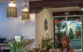 Туры в отель Hotel Banana Boutique & Spa by Paradise Hotels - 5th Av Playa del Carmen Туры в отель Hotel Banana Boutique & Spa by Paradise Hotels - 5th Av Playa del Carmen