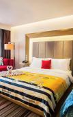 Туры в отель Novotel Nanjing East Suning Туры в отель Novotel Nanjing East Suning