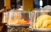 Туры в отель Hotel Bosque Caribe , 5th Av Zone Туры в отель Hotel Bosque Caribe , 5th Av Zone