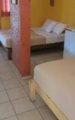Туры в отель Hotel Bosque Caribe , 5th Av Zone Туры в отель Hotel Bosque Caribe , 5th Av Zone