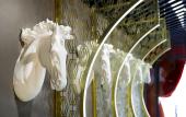 Туры в отель Sura Design Hotel and Suites Туры в отель Sura Design Hotel and Suites