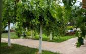 Туры в отель Troas Beach Hotel Туры в отель Troas Beach Hotel