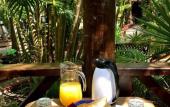 Туры в отель Cocos Cabanas Playa del Carmen Adults only Туры в отель Cocos Cabanas Playa del Carmen Adults only