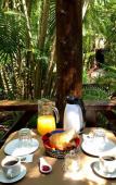 Туры в отель Cocos Cabanas Playa del Carmen Adults only Туры в отель Cocos Cabanas Playa del Carmen Adults only