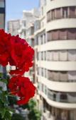 Туры в отель Jero Rooms Туры в отель Jero Rooms