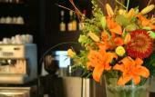 Туры в отель Alexandros Boutique Hotel Туры в отель Alexandros Boutique Hotel