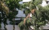 Туры в отель Chellah Hotel Туры в отель Chellah Hotel
