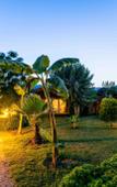 Туры в отель Etenna Beach Bungalows Туры в отель Etenna Beach Bungalows