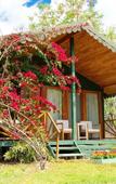 Туры в отель Etenna Beach Bungalows Туры в отель Etenna Beach Bungalows