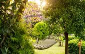 Туры в отель Etenna Beach Bungalows Туры в отель Etenna Beach Bungalows