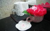 Туры в отель TD Plaza Hotel Туры в отель TD Plaza Hotel