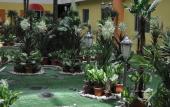 Туры в отель TD Plaza Hotel Туры в отель TD Plaza Hotel