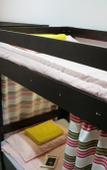 Туры в отель Lajk Hostel Туры в отель Lajk Hostel