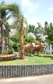 Туры в отель Sao Mai Resort Туры в отель Sao Mai Resort