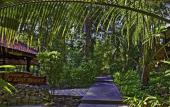 Туры в отель Lost Resort Туры в отель Lost Resort
