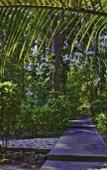 Туры в отель Lost Resort Туры в отель Lost Resort