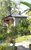 Туры в отель Prashanti Ubud Туры в отель Prashanti Ubud