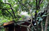 Туры в отель Natural Pansiyon Туры в отель Natural Pansiyon