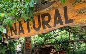 Туры в отель Natural Pansiyon Туры в отель Natural Pansiyon