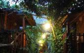 Туры в отель Natural Pansiyon Туры в отель Natural Pansiyon