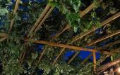 Туры в отель Natural Pansiyon Туры в отель Natural Pansiyon