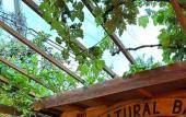 Туры в отель Natural Pansiyon Туры в отель Natural Pansiyon