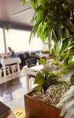 Туры в отель Grand Heykel Hotel Туры в отель Grand Heykel Hotel