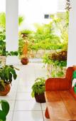 Туры в отель Corales Suites Туры в отель Corales Suites