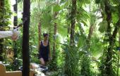 Туры в отель Hotel Casa Colibri Туры в отель Hotel Casa Colibri