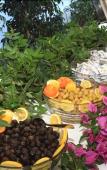 Туры в отель Catamaran Hotel Туры в отель Catamaran Hotel