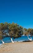 Туры в отель Preveli Rooms Туры в отель Preveli Rooms