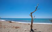 Туры в отель Preveli Rooms Туры в отель Preveli Rooms