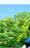 Туры в отель Golden Star Hotel Туры в отель Golden Star Hotel