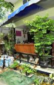 Туры в отель Kitty Guesthouse Туры в отель Kitty Guesthouse