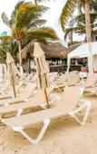 Туры в отель Capital O Mimi Del Mar, Playa del Carmen Туры в отель Capital O Mimi Del Mar, Playa del Carmen