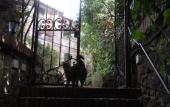 Туры в отель Villino Corbelli Туры в отель Villino Corbelli