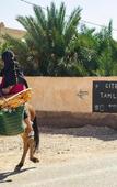 Туры в отель Gite Tamlli Туры в отель Gite Tamlli