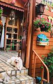 Туры в отель Pailin Guest House Туры в отель Pailin Guest House
