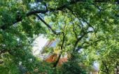 Туры в отель Park-Otel Riversayd Туры в отель Park-Otel Riversayd