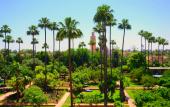 Туры в отель TUI BLUE Medina Gardens – Adults Only – All Inclusive Туры в отель TUI BLUE Medina Gardens – Adults Only – All Inclusive