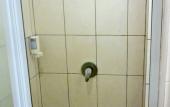 Туры в отель De Galleria Hotel Туры в отель De Galleria Hotel