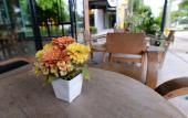 Туры в отель Paradise Resort Туры в отель Paradise Resort