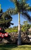 Туры в отель Horizontes Los Caneyes Hotel Туры в отель Horizontes Los Caneyes Hotel
