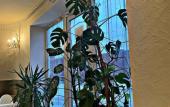 Туры в отель Barin Hotel Туры в отель Barin Hotel
