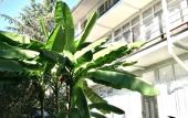 Туры в отель Guest House Sofiya Rooms Hotel Туры в отель Guest House Sofiya Rooms Hotel