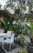 Туры в отель Tropico Jimbaran Bali Туры в отель Tropico Jimbaran Bali
