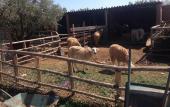 Туры в отель Ferme Sidi Safou Hotel Туры в отель Ferme Sidi Safou Hotel